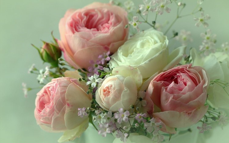 цветы, фон, розы, лепестки, букет, sonata zemgulienе, flowers, background, roses, petals, bouquet