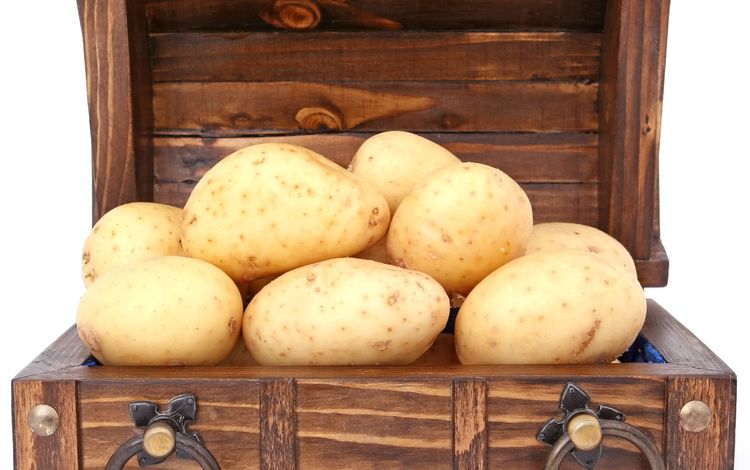 белый фон, овощи, картофель, сундук, white background, vegetables, potatoes, chest