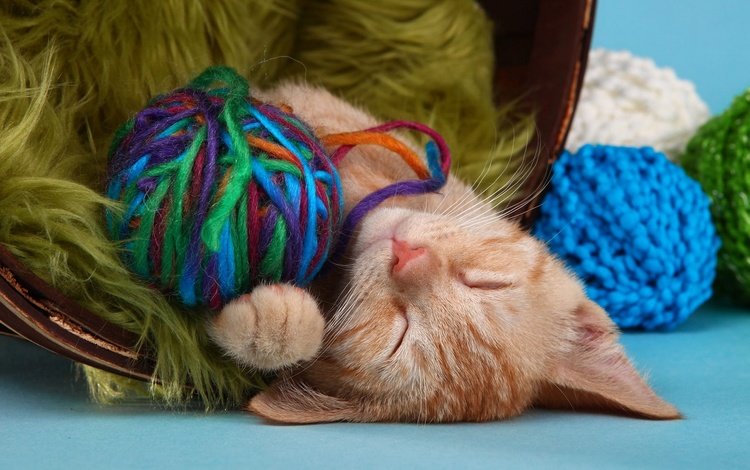 кот, кошка, сон, котенок, спит, рыжий, клубки, нитки, пряжа, yarn, cat, sleep, kitty, sleeping, red, balls, thread