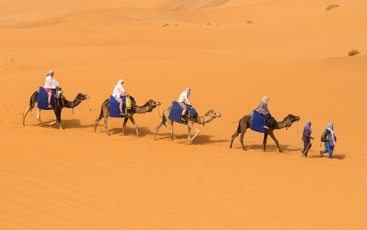 песок, люди, пустыня, бархан, караван, верблюды, sand, people, desert, barkhan, caravan, camels