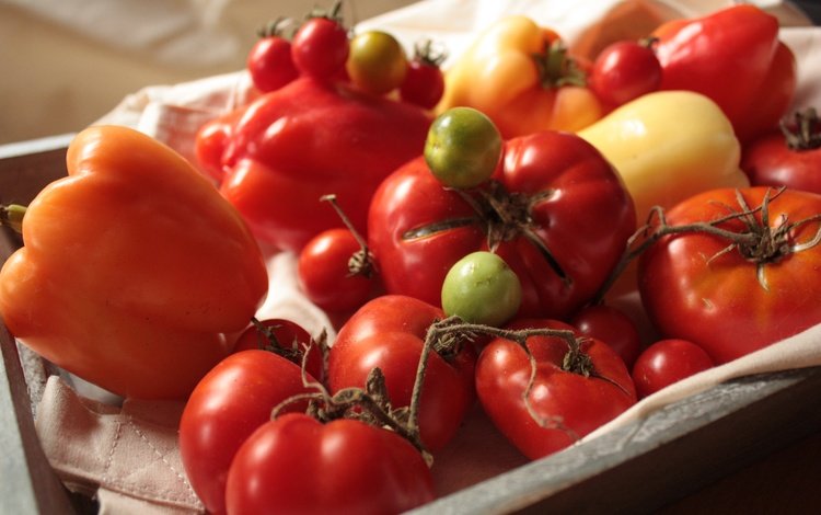 овощи, помидоры, перец, томаты, болгарский, сладкий перец, vegetables, tomatoes, pepper, bulgarian, sweet pepper