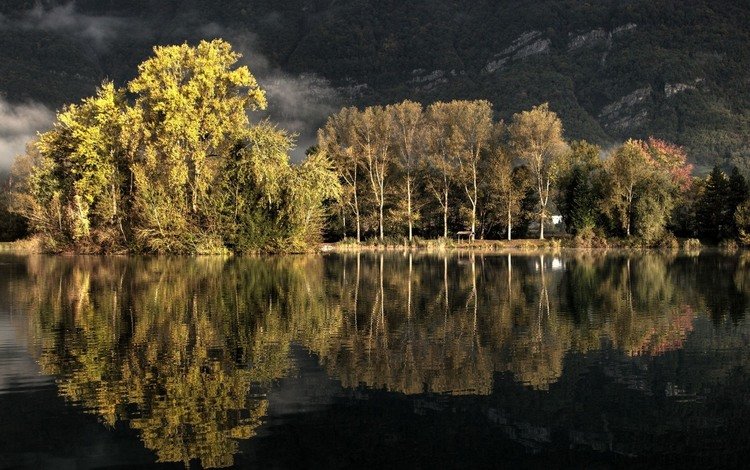 деревья, озеро, природа, лес, отражение, пейзаж, осень, trees, lake, nature, forest, reflection, landscape, autumn