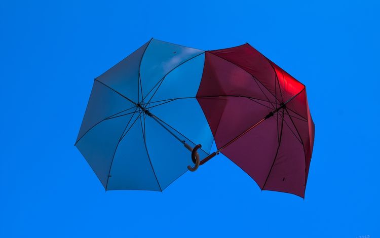 зонт, голубая, краcный, неба, clear sky, влюбленная, ширма, umbrella, blue, red, sky, love, screen