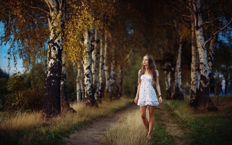 дорога, лицо, лес, девушка, платье, березы, взгляд, осень, волосы, road, face, forest, girl, dress, birch, look, autumn, hair