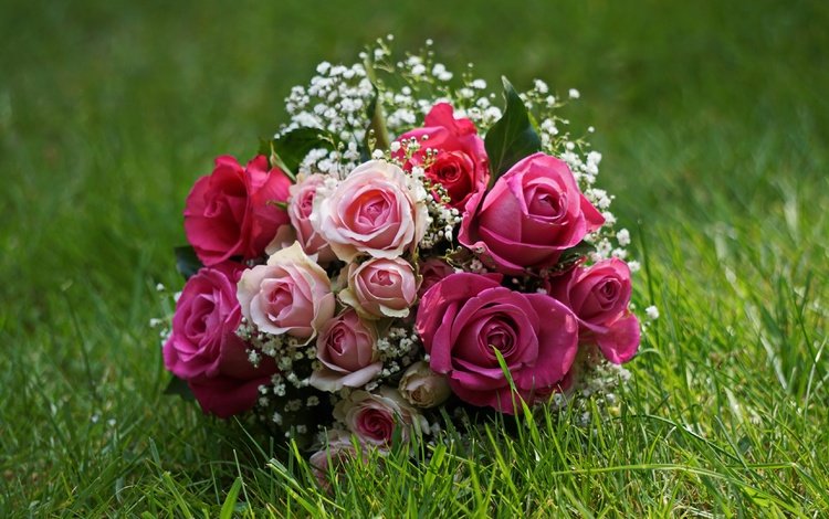 цветы, трава, розы, букет, свадебный букет, гипсофила, flowers, grass, roses, bouquet, wedding bouquet, gypsophila