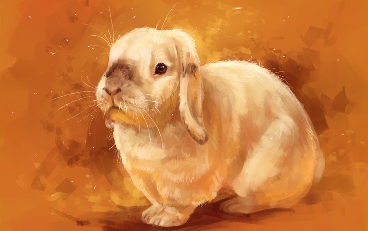 рисунок, фон, мордочка, взгляд, кролик, животное, уши, заяц, figure, background, muzzle, look, rabbit, animal, ears, hare