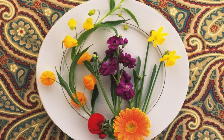 цветы, узор, нарциссы, тарелка, ноготки, композиция, турецкий огурец, flowers, pattern, daffodils, plate, marigolds, composition, turkish cucumber
