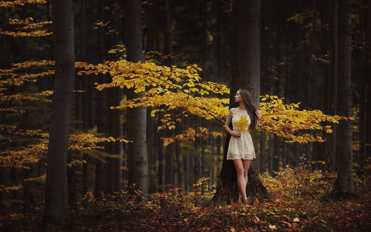 деревья, лес, листья, девушка, настроение, осень, trees, forest, leaves, girl, mood, autumn