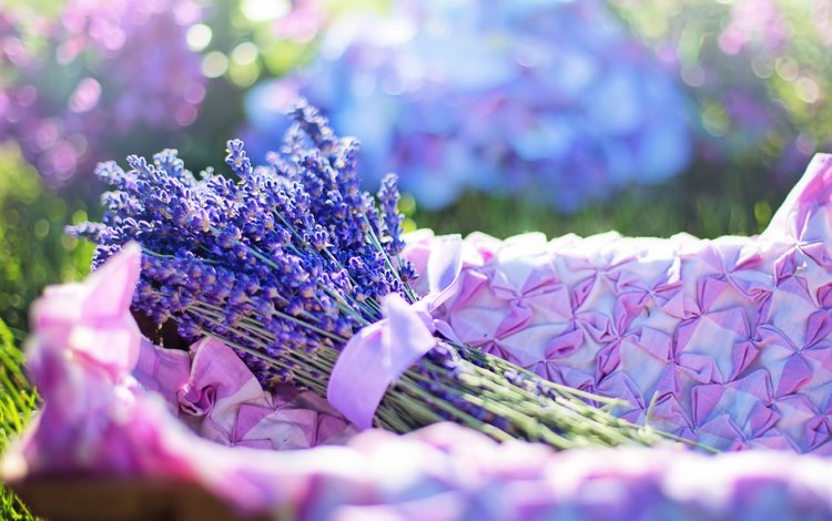 цветы, лаванда, букет, flowers, lavender, bouquet