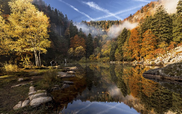 река, природа, лес, осень, etienne ruff, river, nature, forest, autumn