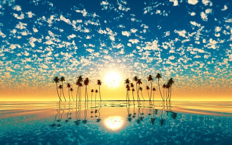 небо, 3д, облака, солнце, отражение, пейзаж, море, пальмы, рендеринг, the sky, 3d, clouds, the sun, reflection, landscape, sea, palm trees, rendering
