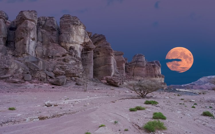 ночь, скалы, пейзаж, пустыня, луна, night, rocks, landscape, desert, the moon