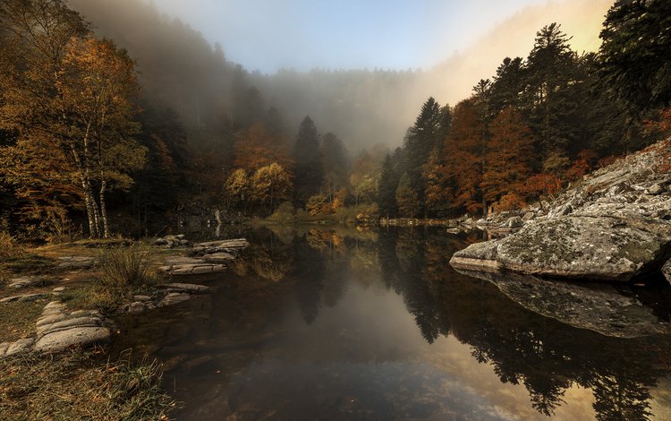 деревья, река, природа, лес, туман, осень, etienne ruff, trees, river, nature, forest, fog, autumn