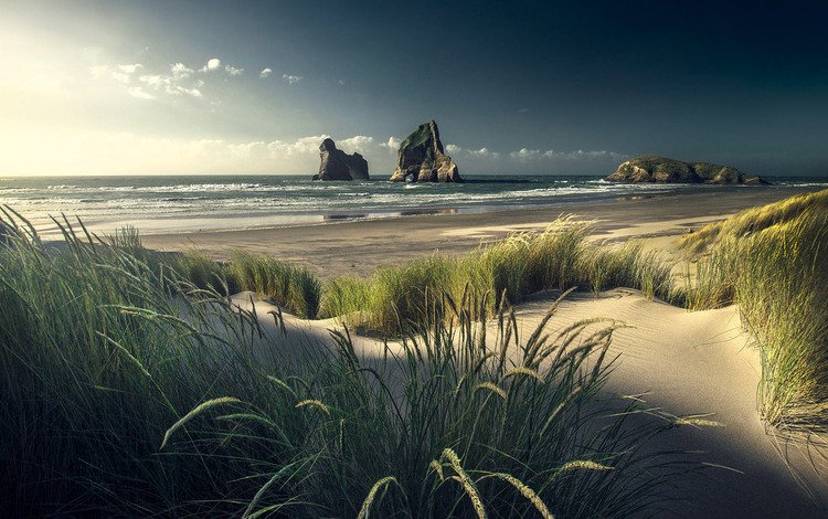небо, трава, скалы, пейзаж, море, песок, пляж, колоски, the sky, grass, rocks, landscape, sea, sand, beach, spikelets
