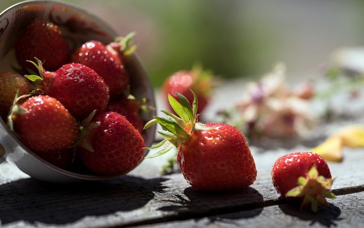клубника, тень, ягоды, деревянная поверхность, strawberry, shadow, berries, wooden surface