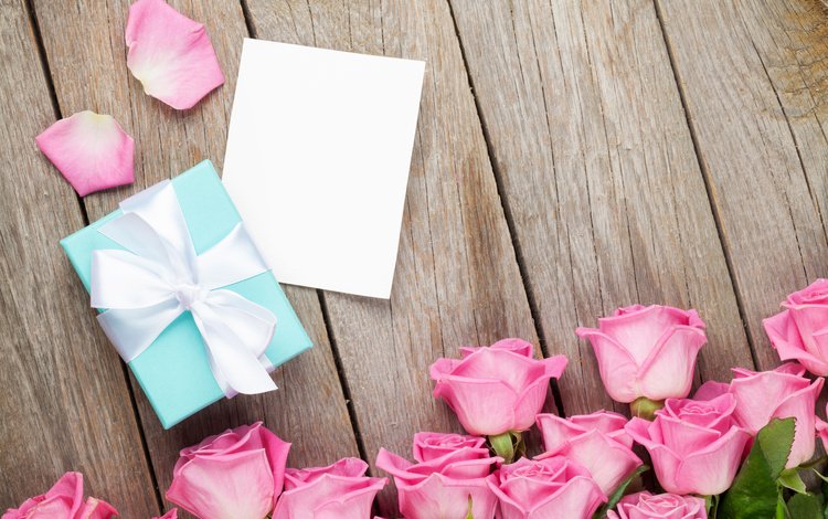 розы, розовые, подарок, праздник, валентинов день, evgeny karandaev, roses, pink, gift, holiday, valentine's day