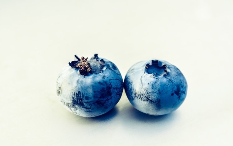 ягода, пара, белый фон, черника, berry, pair, white background, blueberries