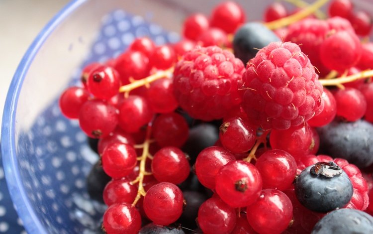 малина, ягоды, черника, красная смородина, смородина, raspberry, berries, blueberries, red currant, currants