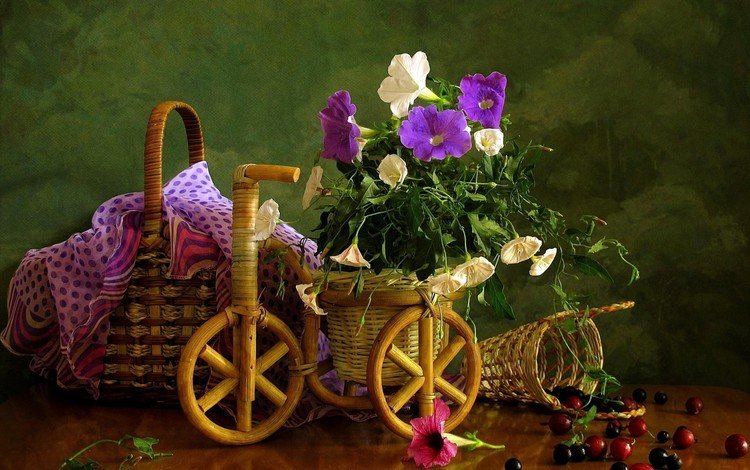 цветы, вьюнок, букет, ягоды, вишня, велосипед, корзинка, смородина, композиция, flowers, bindweed, bouquet, berries, cherry, bike, basket, currants, composition