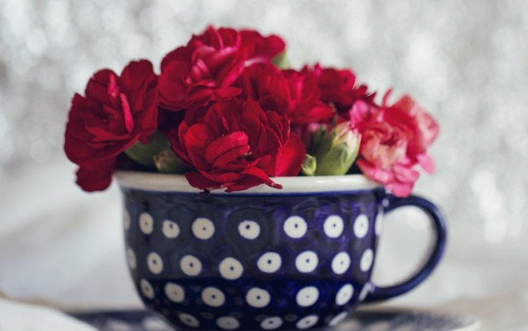 цветы, букет, чашка, гвоздики, flowers, bouquet, cup, clove