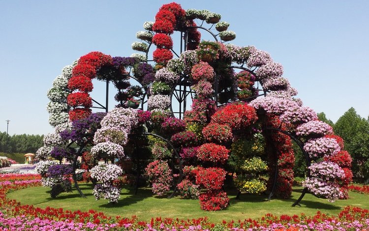 цветы, дизайн, парк, дубаи, оаэ, miracle garden, flowers, design, park, dubai, uae