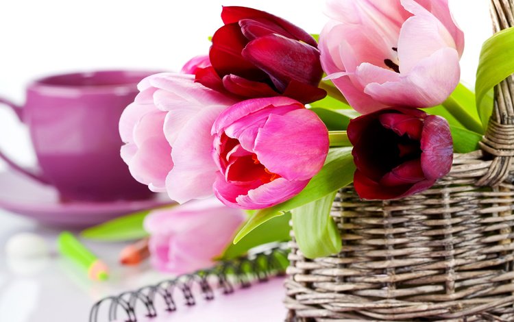 цветы, карандаши, корзина, тюльпаны, чашка, тетрадь, блокнот, flowers, pencils, basket, tulips, cup, notebook, notepad