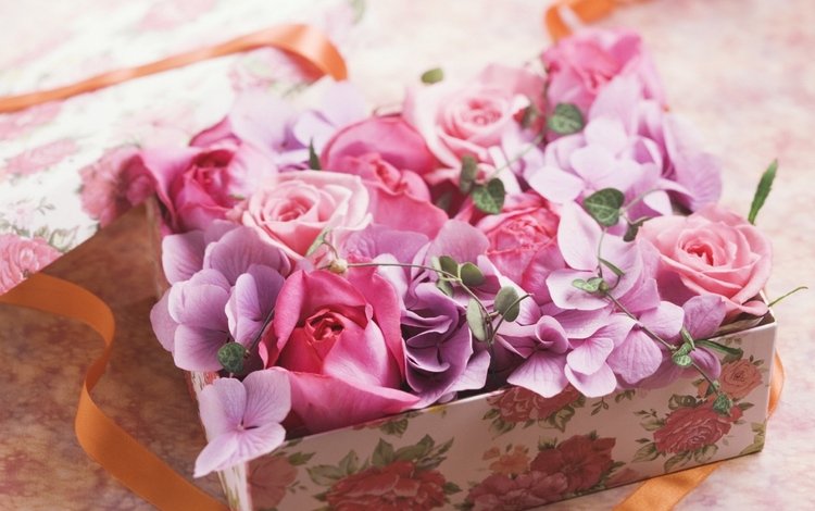 цветы, розы, лепестки, лента, подарок, коробка, flowers, roses, petals, tape, gift, box