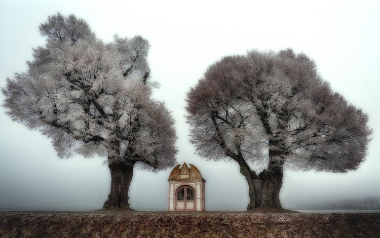 деревья, природа, туман, часовня, trees, nature, fog, chapel