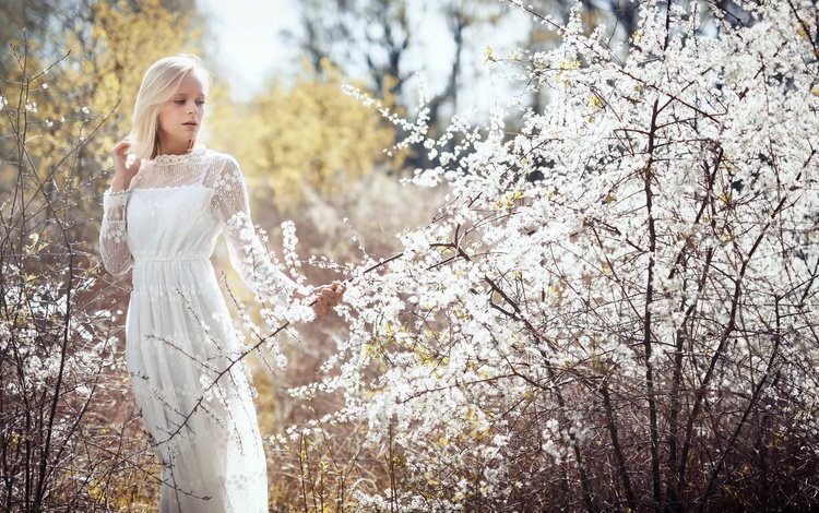 природа, девушка, блондинка, ветки, весна, белое платье, невеста, tatjana, nature, girl, blonde, branches, spring, white dress, the bride