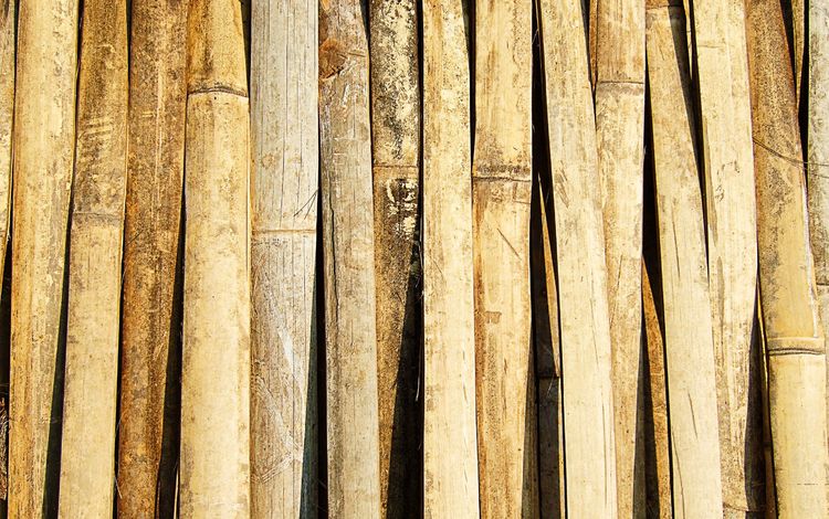 текстура, стена, бамбук, древесина, texture, wall, bamboo, wood