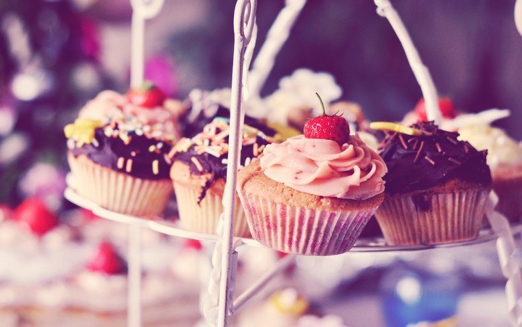 клубника, шоколад, сладкое, десерт, кексы, крем, strawberry, chocolate, sweet, dessert, cupcakes, cream