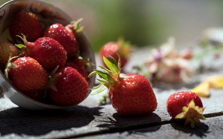 клубника, тень, ягоды, деревянная поверхность, strawberry, shadow, berries, wooden surface