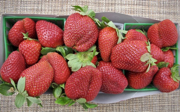 ягода, клубника, спелая, сочная, вкусная, berry, strawberry, ripe, juicy, delicious
