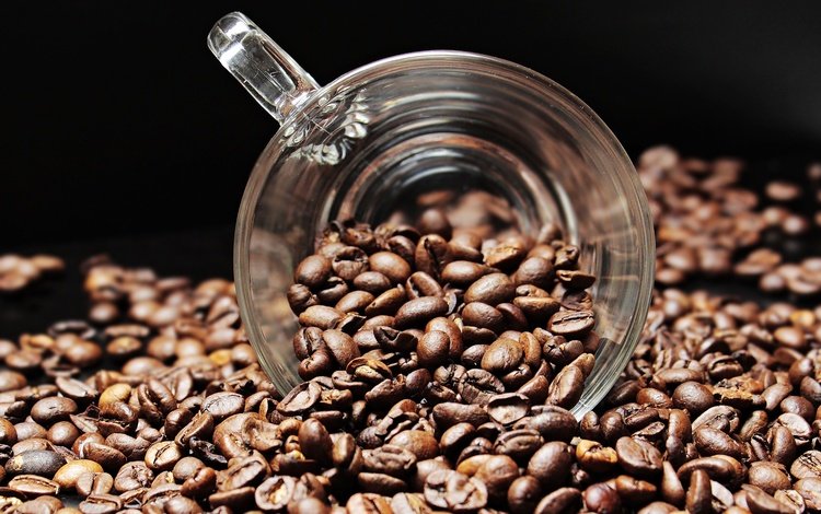 кофе, черный фон, чашка, кофейные зерна, coffee, black background, cup, coffee beans