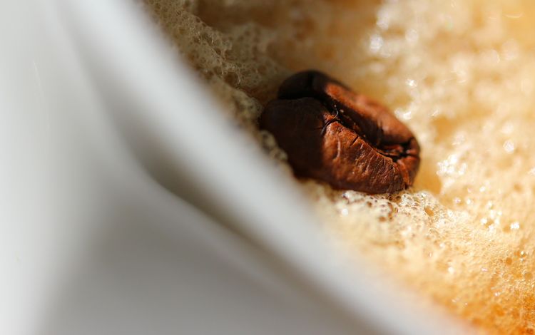 кофе, кофейные зерна, пенка, крупным планом, coffee, coffee beans, foam, closeup