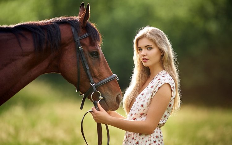 лошадь, девушка, horse, girl