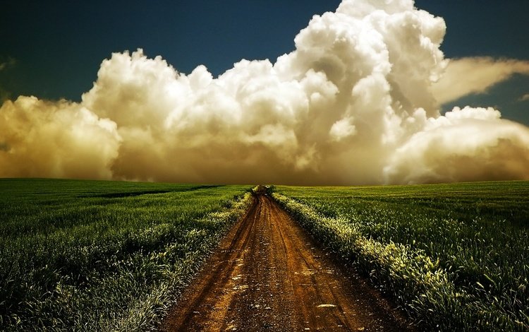 небо, горизонт, дорога, трава, облака, природа, пейзаж, утро, поле, the sky, horizon, road, grass, clouds, nature, landscape, morning, field