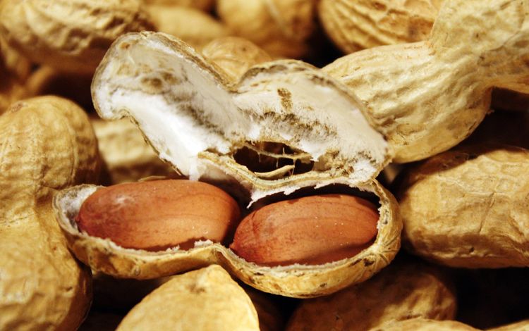 орехи, скорлупа, арахис, земляной орех, nuts, shell, peanuts, groundnuts