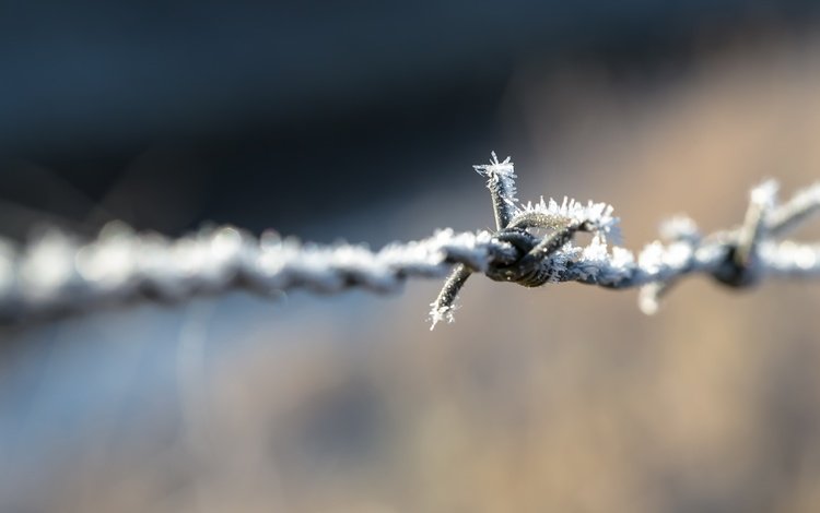 проволока, иней, забор, размытость, колючая проволока, wire, frost, the fence, blur, barbed wire