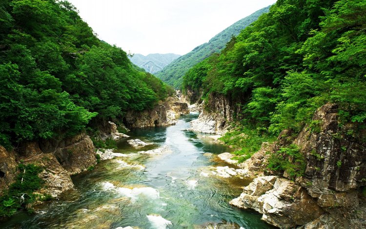 река, скалы, природа, камни, растения, япония, river, rocks, nature, stones, plants, japan