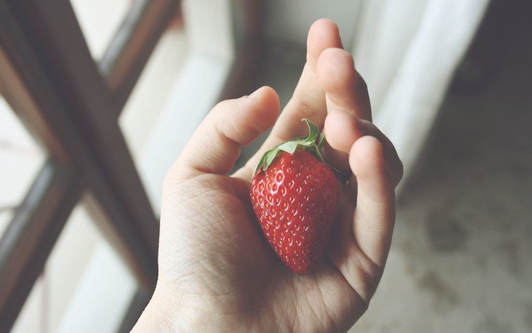 рука, ягода, клубника, окно, пальцы, hand, berry, strawberry, window, fingers