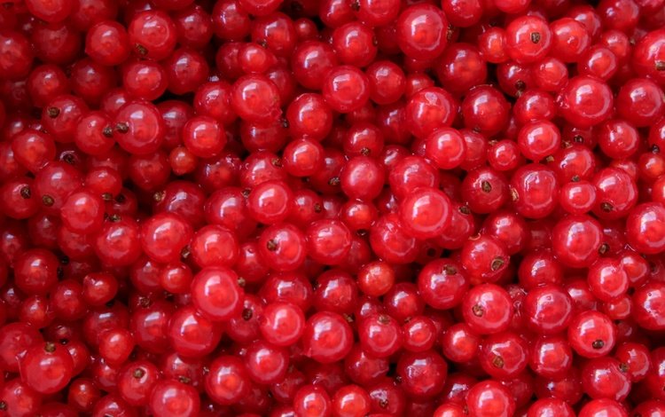 текстура, ягоды, красная смородина, смородина, texture, berries, red currant, currants