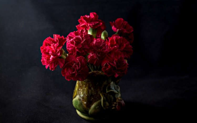темный фон, букет, гвоздики, the dark background, bouquet, clove