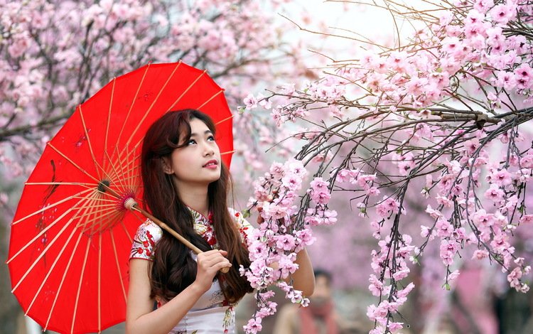 цветение, азиатка, девушка, взгляд, сад, волосы, лицо, сакура, зонтик, flowering, asian, girl, look, garden, hair, face, sakura, umbrella