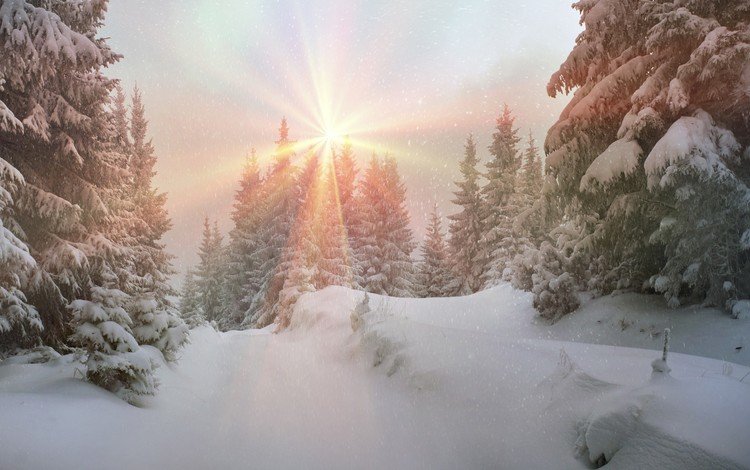 природа, лес, зима, пейзаж, nature, forest, winter, landscape