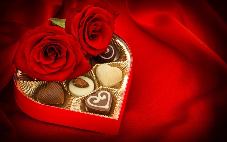 цветы, розы, конфеты, шоколад, день святого валентина, 14 февраля, шоколадные конфеты, flowers, roses, candy, chocolate, valentine's day, 14 feb, chocolates