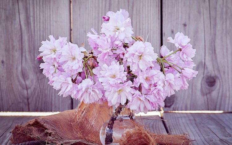 цветы, букет, сакура, ваза, flowers, bouquet, sakura, vase