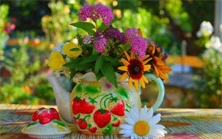 цветы, ромашка, размытость, букет, чайник, натюрморт, рудбекия, flowers, daisy, blur, bouquet, kettle, still life, rudbeckia