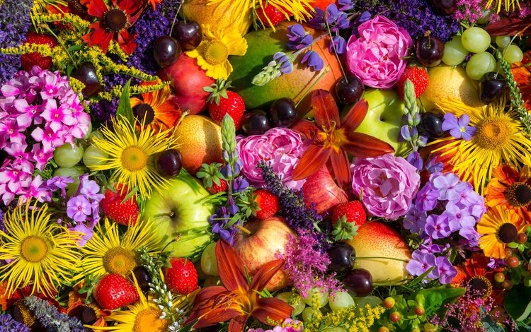 цветы, фрукты, ягоды, композиция, flowers, fruit, berries, composition