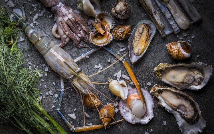 кальмар, укроп, морепродукты, креветки, моллюски, устрицы, squid, dill, seafood, shrimp, shellfish, oysters